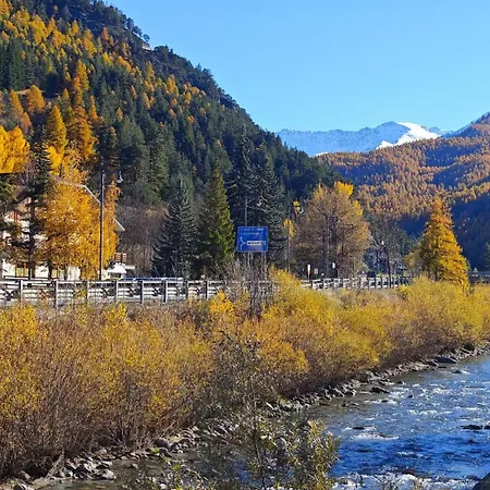 Hostdomus - Petit Bleu Daire *