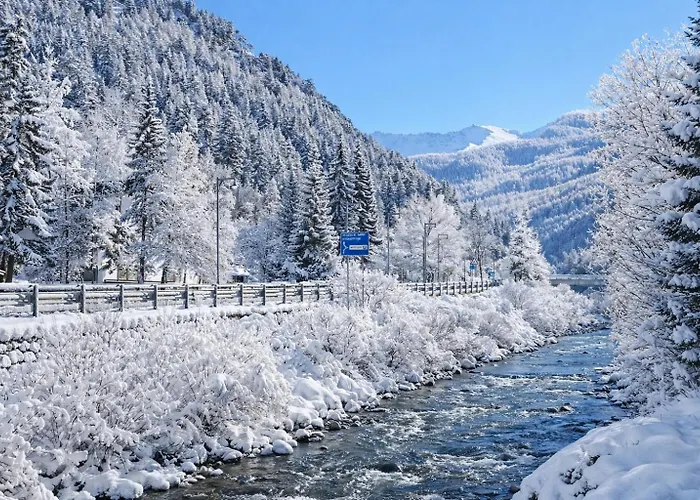 Apartment Hostdomus - Petit Bleu